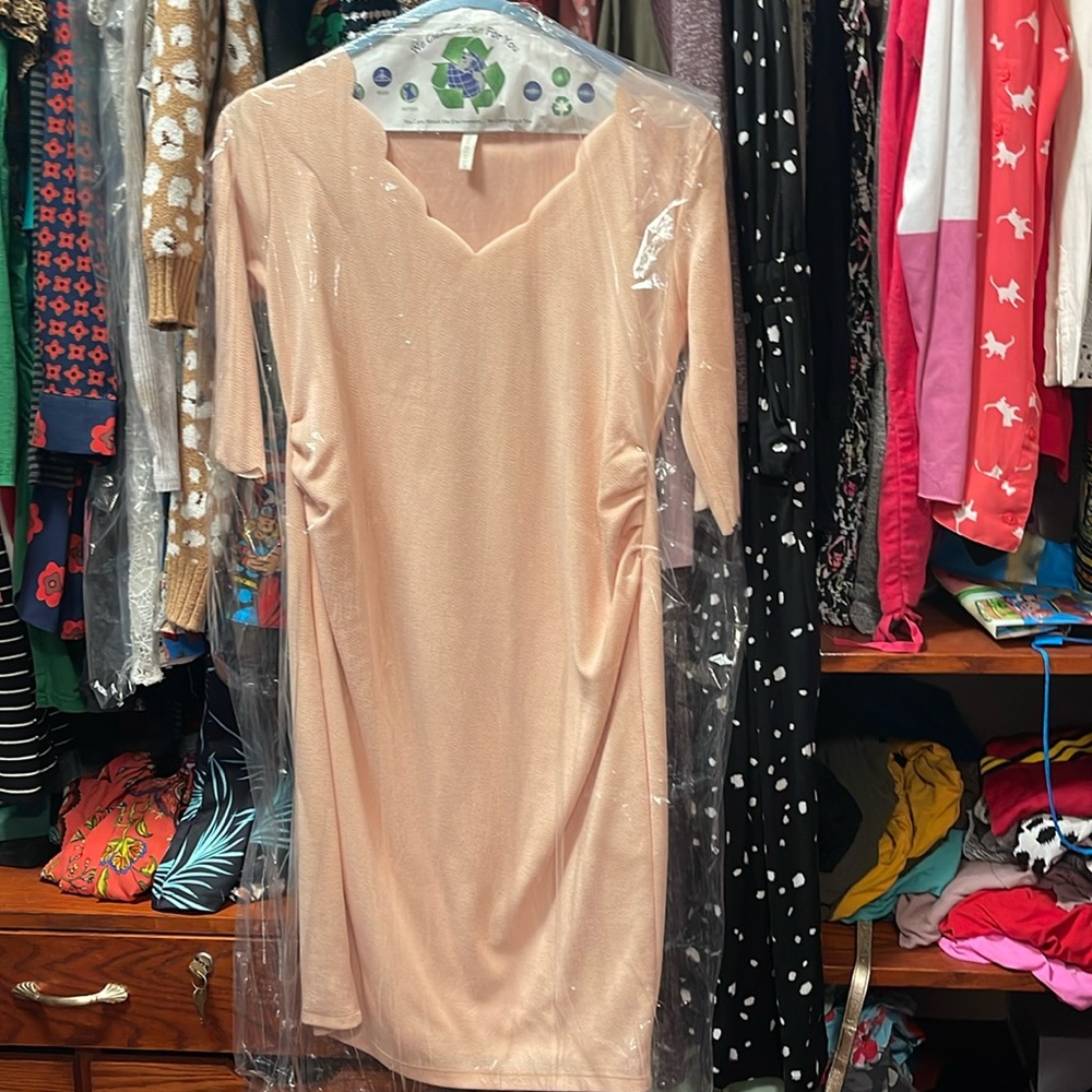 Pinkblush Maternity Dress